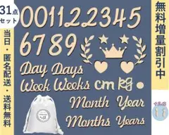 Item thumbnail for item 393c66ff-36f4-4e8a-96b5-b7c1d9fbc1c2