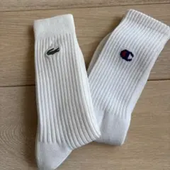 Lacoste Champion ホワイトリブソックス