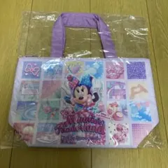 東京ディズニーランド ミニーのファンダーランド スーベニア ランチケース