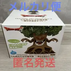 ドラゴンクエスト じんめんじゅの植木鉢 種付き栽培キットのサムネイル