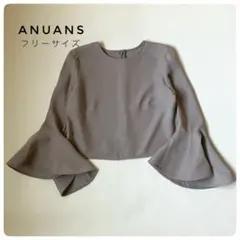 anuans アニュアンス　フォルムスリーブブラウス　袖フリル　フリーのサムネイル