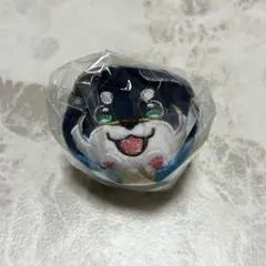 にじさんじ　黒井しば　極楽湯 RAKUSPA もちころりんぬいぐるみマスコット