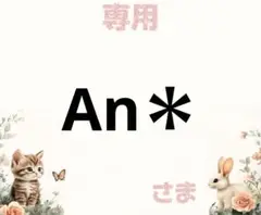 専用
