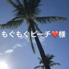 もぐもぐピーチ❤️様 リクエスト 2点 まとめ商品