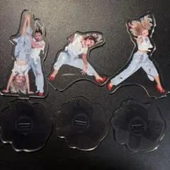 平成フラミンゴ　アクスタ