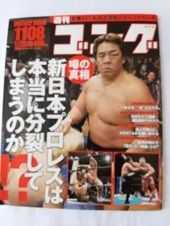 週刊ゴング ヒクソン・グレイシー 船木誠勝 コロシアム2000 - メルカリ