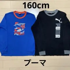 プーマ 長袖カットソー 160cm 青黒