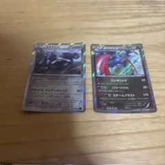 ポケモンカードメタグロス、ボーマンダキラカード