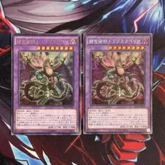 遊戯王　捕食植物ドラゴスタペリア　ウルトラ　シークレット　各1枚　計2枚のサムネイル