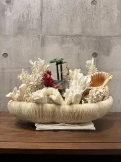 2026年最新】珊瑚オブジェの人気アイテム - メルカリ