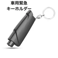 Item thumbnail for item 2afaf790-7c30-4839-9e05-08f8380e91fa