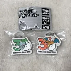 新品【ポケモン30周年】メタルチャームマスコット　2点セット