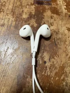 ホワイト 有線イヤホン Lightning