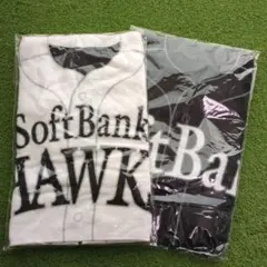 【週末値下】新品未開封 SoftBank HAWKS タオル 2枚セット ホーム
