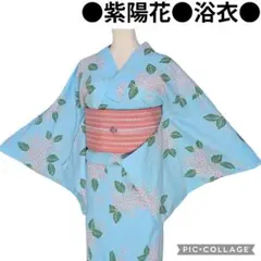 単衣 化繊 小紋 洗える着物 ヱ霞 桜散らし 身丈160 裄丈65 夏着物