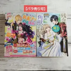 アイリス文庫2冊セット【バラ売り可】