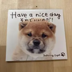 Yさま専用【CD】Have a nice day オルゴール