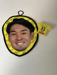 Item thumbnail for item 0c6ddcdf-7cc0-43af-b043-69eb3d8aa5fa