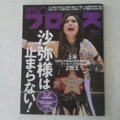 週刊プロレス 2025年10月15日号 No.2378