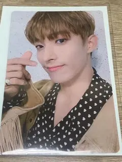 SEVENTEEN トレカ DK ドギョム