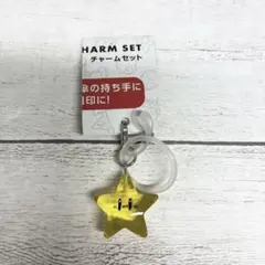 スーパーマリオ スーパースター チャーム 目印