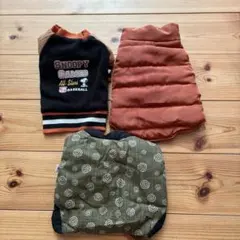 Item thumbnail for item bee3bb80-c146-444f-a191-39bddd4fa677