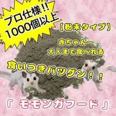 Item thumbnail for item 8e07b727-ebf6-4324-b57e-7cefa417bcc5