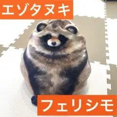 タグ付き　YOU+MORE! エゾタヌキ ぬいぐるみのサムネイル