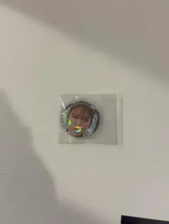 平成フラミンゴ 缶バッジ - メルカリ