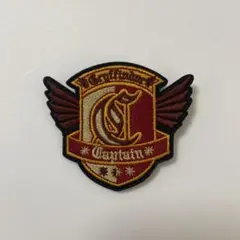 ハリーポッター 紋章刺繍ブローチコレクション シークレット グリフィンドール