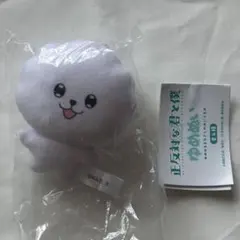 正反対な君と僕 ゆめぬい イエティ