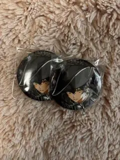 シクフォニ　いるま　ロディ