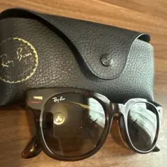 Ray-Ban ブラウン サングラス レザーケース付き