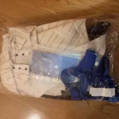 ゆらり様専用 ソフィアヴァレンタイン 衣装＋ウィッグ にじさんじ