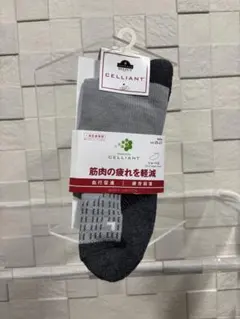 Item thumbnail for item 503a6323-c2e4-4126-91a8-26010787a348