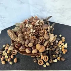 A-19自然素材　秋色森盛り詰め合わせ　 ディスプレイ　インテリア　リース素材