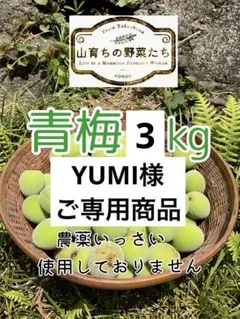青梅3kgご専用商品＊農薬不使用＊6/6、7収穫後発送