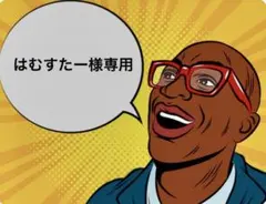 はむすたー様 リクエスト 8点 まとめ商品