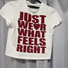 SHAGGIE コンパクトロゴショート丈Tシャツ ホワイトのサムネイル