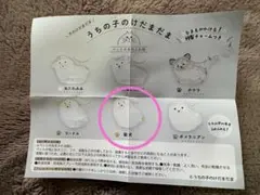 うちの子のけだまだま　犬