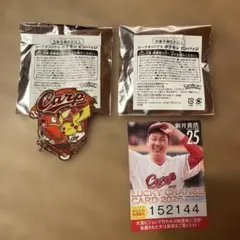 新品未開封！広島東洋カープオリジナル ポケモンピンバッジ 2個セット