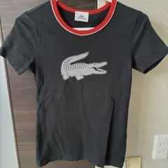 ラコステTシャツのサムネイル
