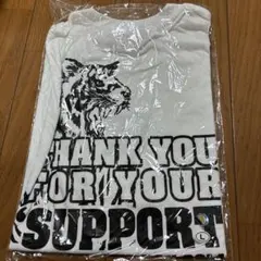 Item thumbnail for item aaaa3bb1-51db-4d27-82f4-331fe99ad398