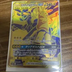 ゼクロムUR鯖 ゼクロム(UR仕様)【-】{095/093}