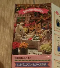 匿名配送　カタログ　平成　シルバニアファミリー