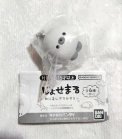 じょせまる　めじるしアクセサリー　まるころ