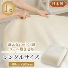 Item thumbnail for item 87f28917-b2a1-4d47-9742-8483e41bce9e