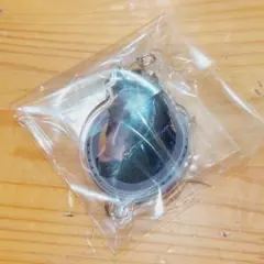 【匿名配送】つながるアクリルチャーム(ステイゴールド産駒) インディチャンプ