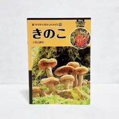 小宮山勝司　きのこ