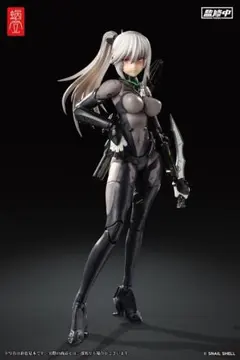 ☆新品☆ ASSASSIN アサシン 1/12 完成品アクションフィギュア